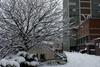 A picture of the Chemistry Department of Bangor University in Winter