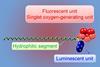 A picture of a self illuminating nanoparticle