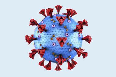 An image showing a coronavirus particle