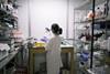 A photo of a young woman working in a laboratory