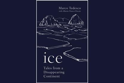 An image showing the book cover of Ice