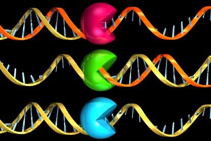 An image showing viral RNA replication