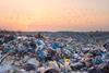 Birds flying over landfill