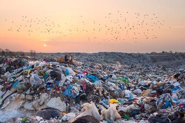 Birds flying over landfill