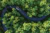 Car on a winding forest road, view from above