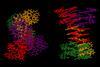 3D image showing a 3D view of an abiotic, tetrameric, eight-helix bundle