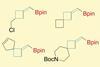 Four chemical structures based on a square of carbons with a Bpin