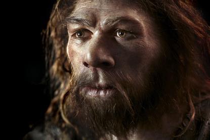 Neanderthal model