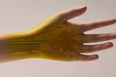 An illustration of a hand with the veins, arteries and muscles showing through the skin