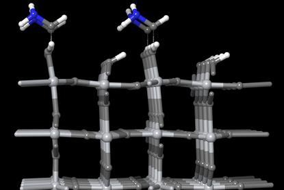 Surface adsorption