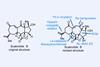 Scabrolide B