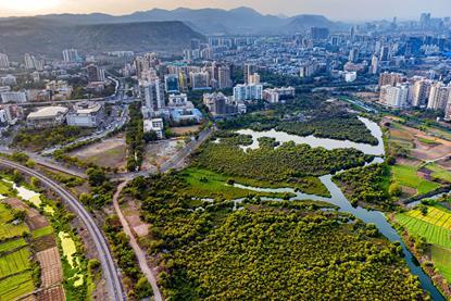 An aerial view of the edge of the city of Mumbai where built up urban area abruptly meets farmland and undeveloped wetland