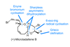 Structure of microladallene B showing the key bond disconnections