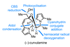 An image showing the structure of (-)-curvulamine