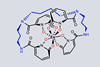 An image showing the EsIII coordination complex