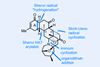 An image showing (–)-norzoanthamine